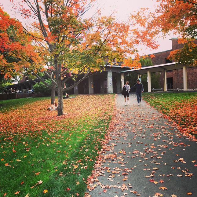 ¼ϲʿ campus in the fall