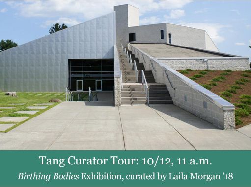 Tang Curator Tour